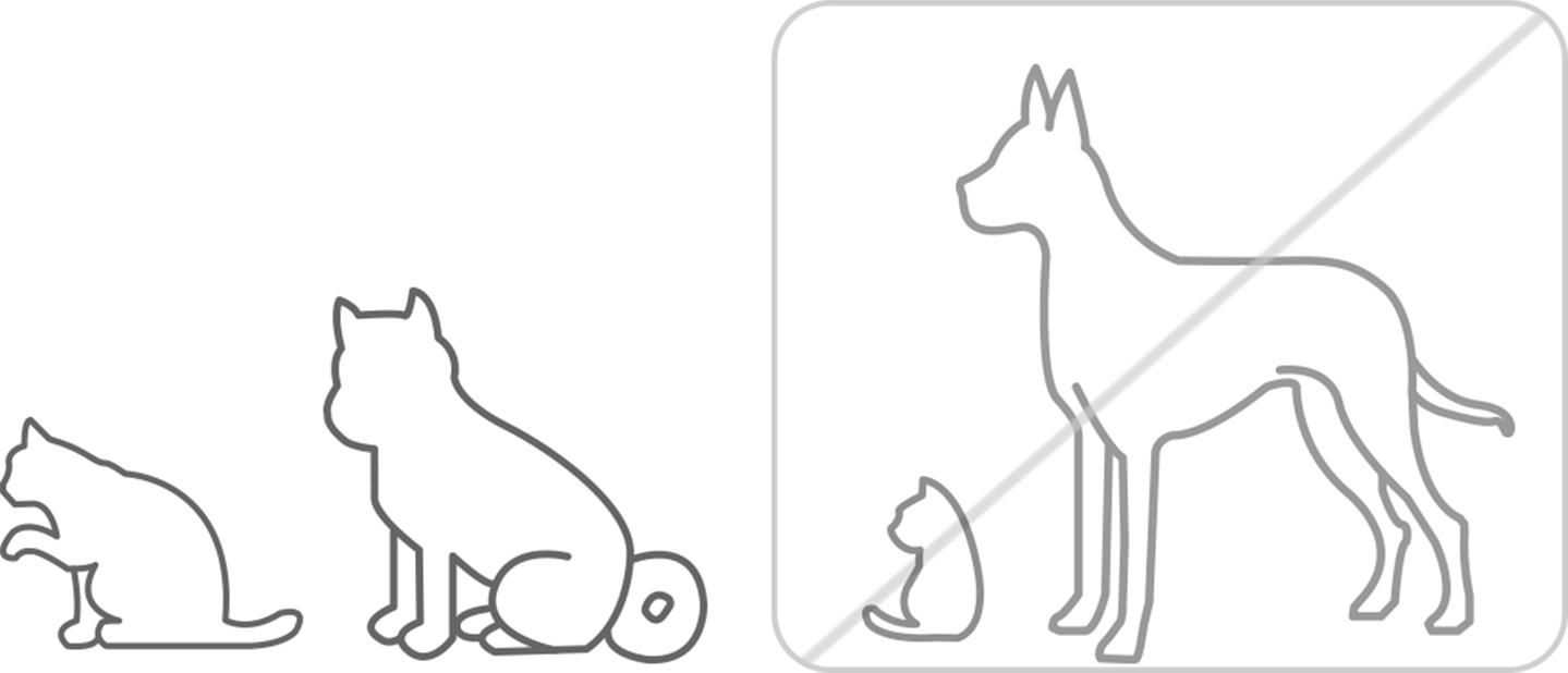 Xiaomi Smart Pet Food Feeder
