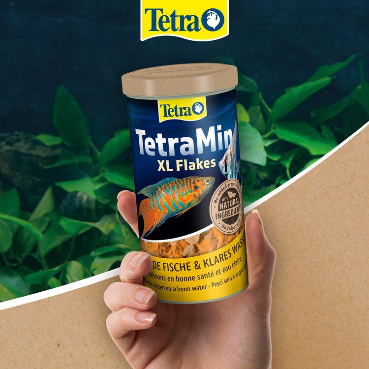 Tetra dawkowanie - 3