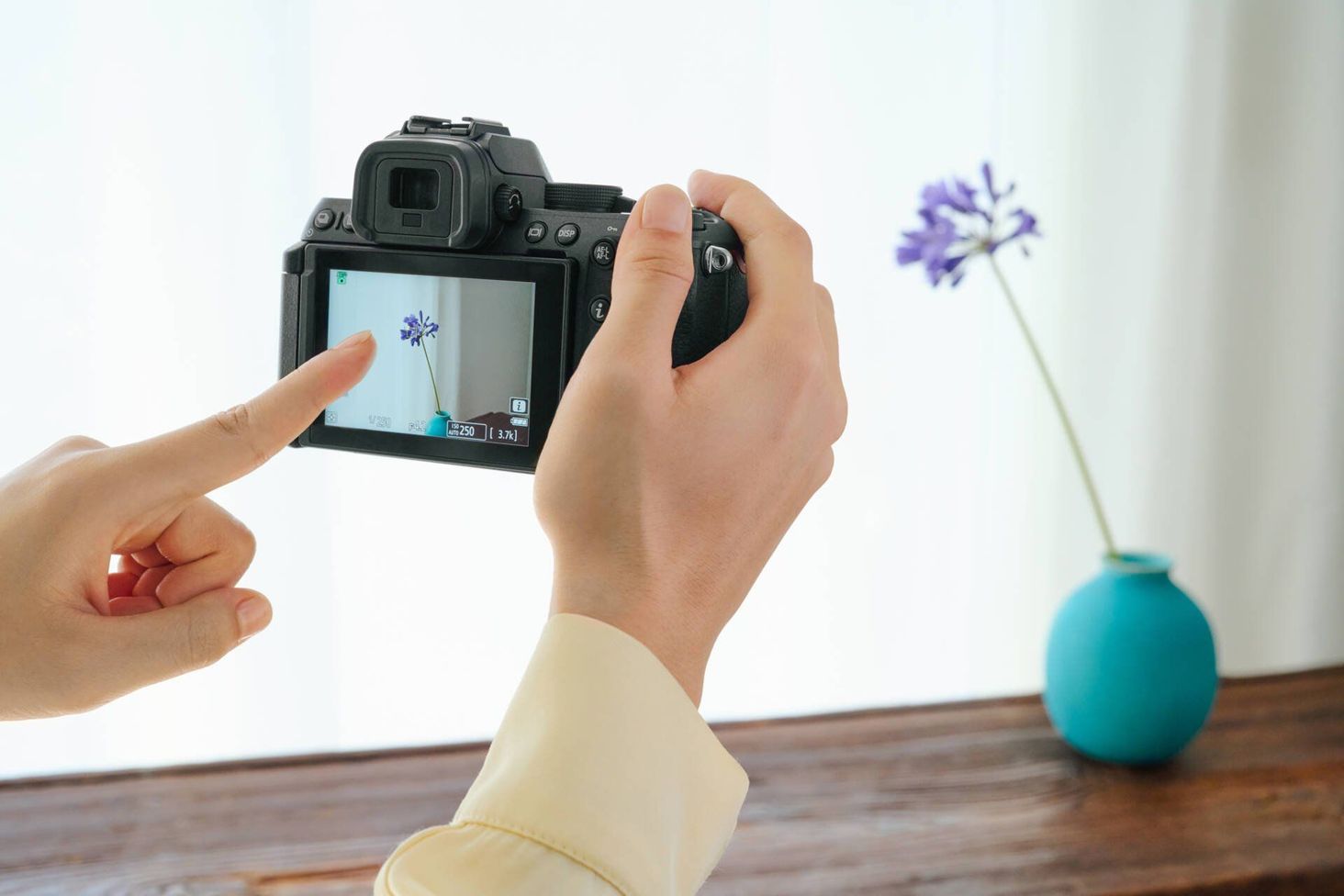 Nikon z50II - 9