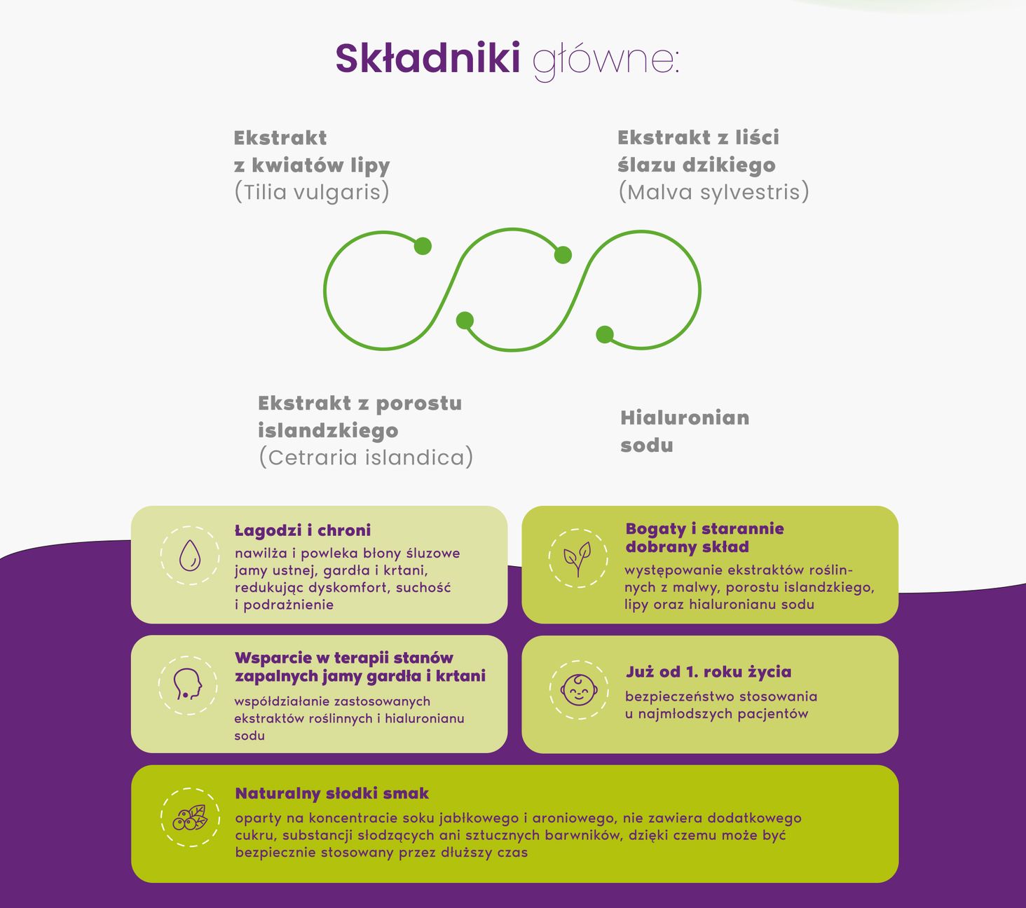 składniki