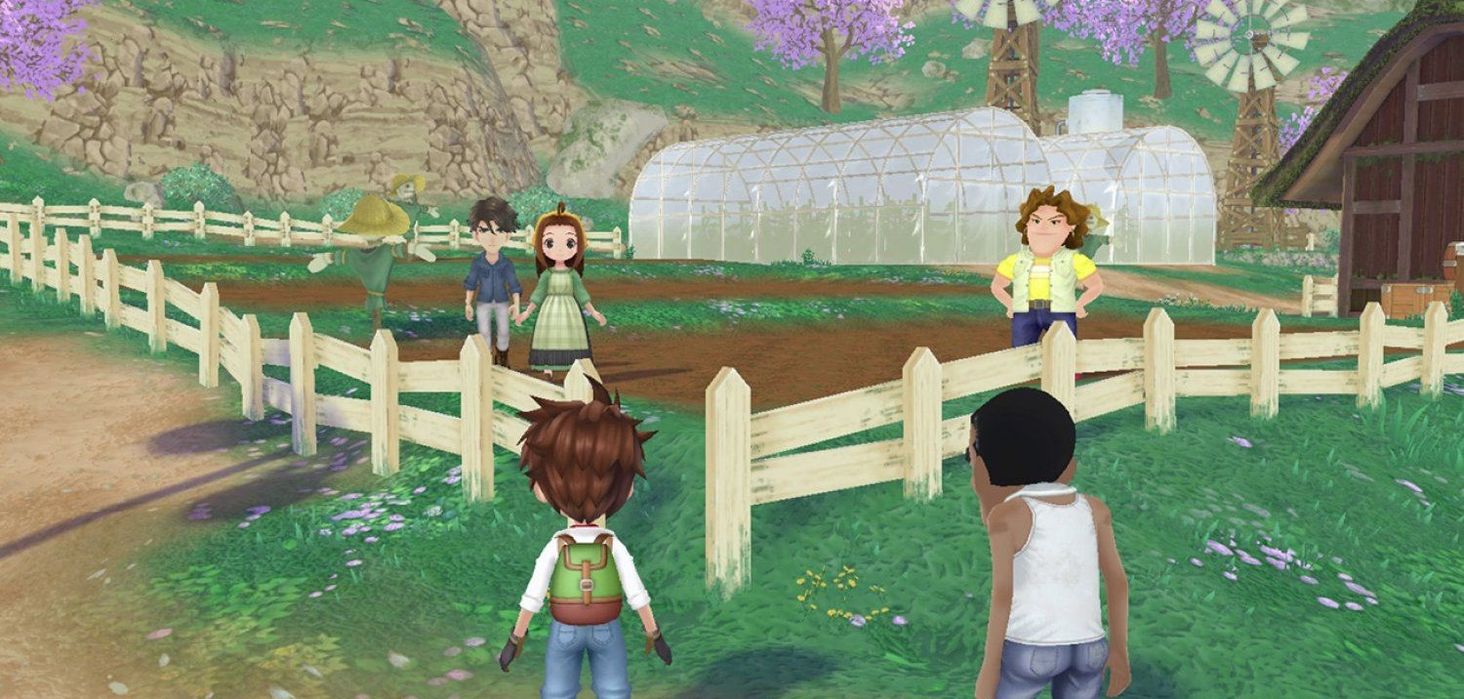 Story of Seasons A Wonderful Life 2