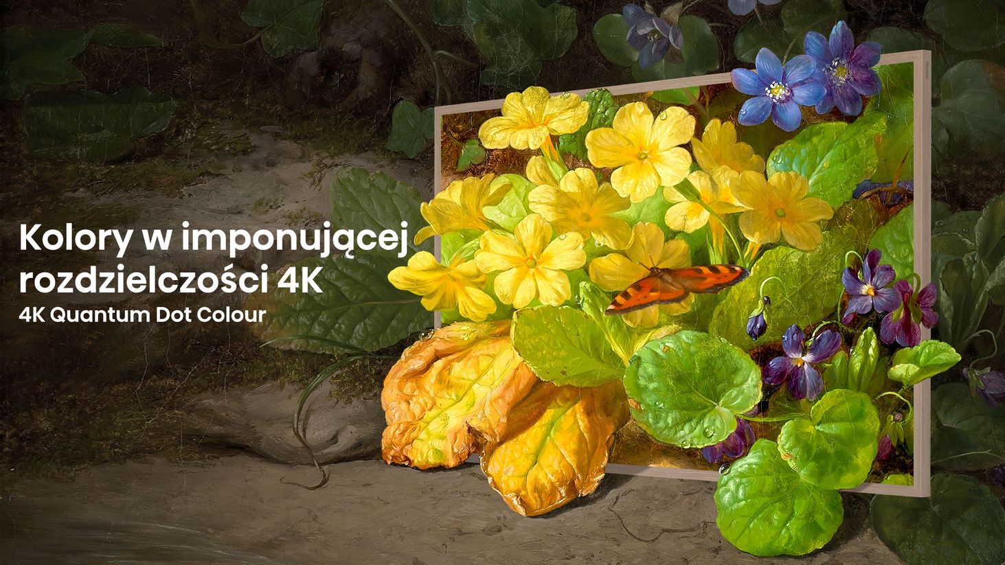 Hisense 4K Quantum Dot Colour