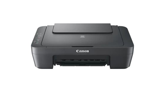 CANON PIXMA MG2551S