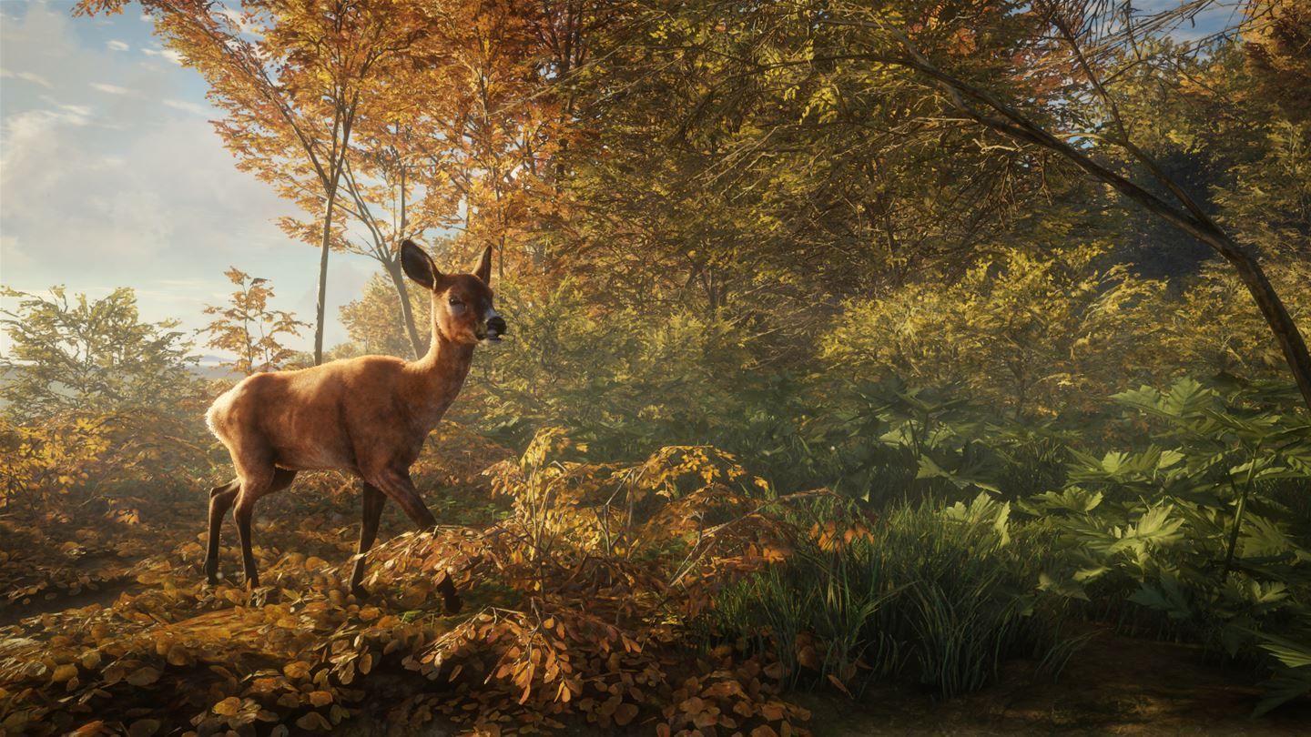 way of the hunter