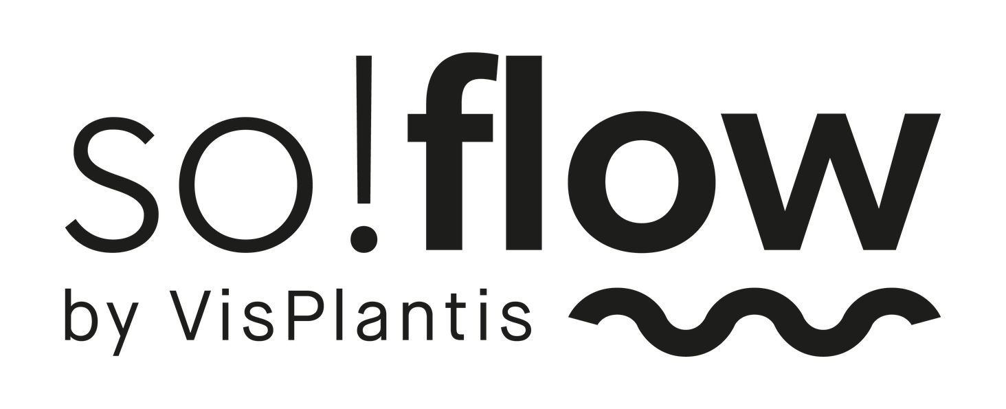 so flow by visplantis