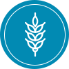 alergeny