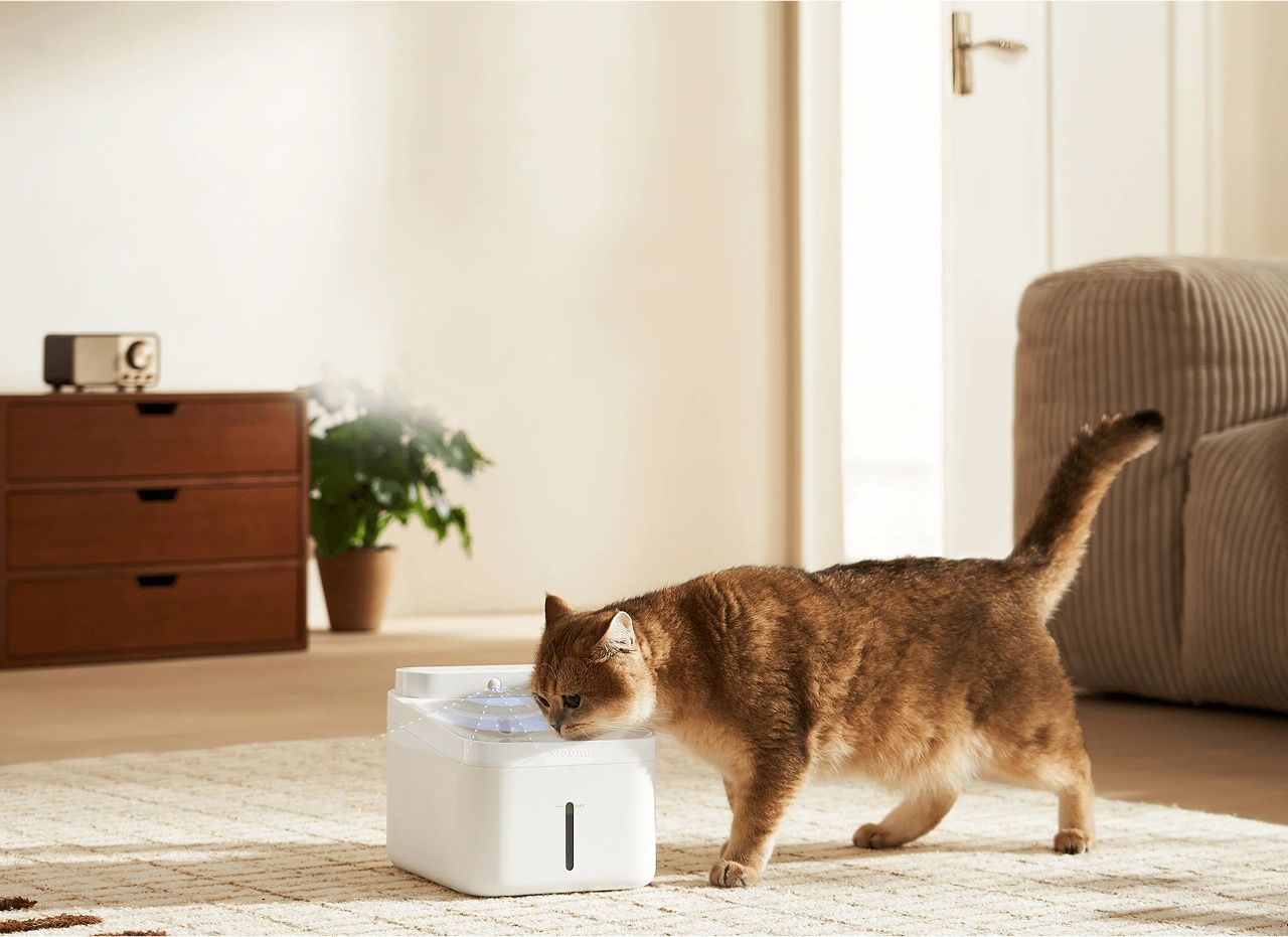 Xiaomi Smart Pet Fountain 2 zdj 7