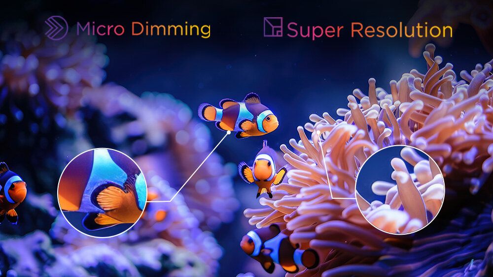Micro Dimming