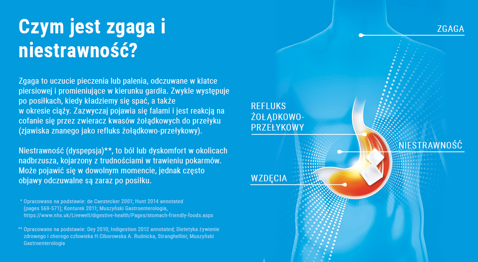 Bayer Zdjęcie 3