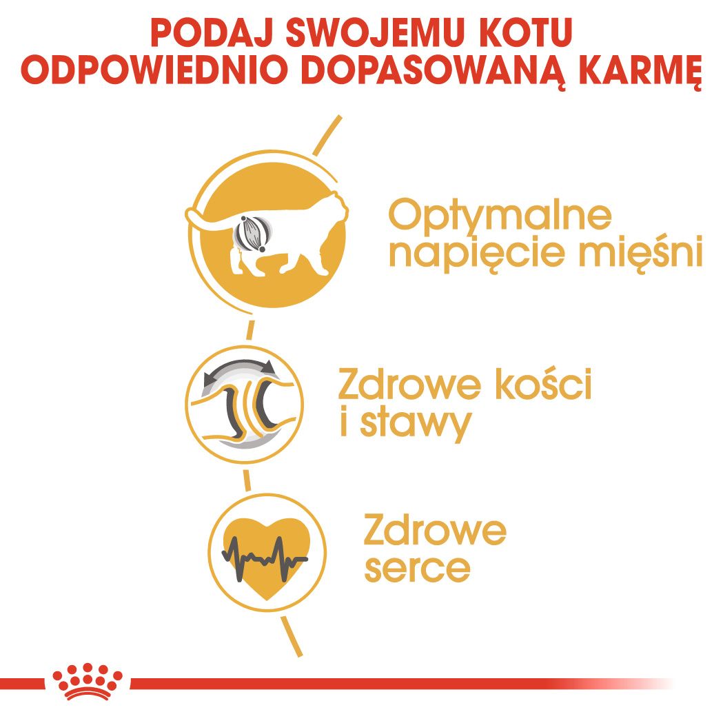 ROYAL CANIN® British Shorthair Adult