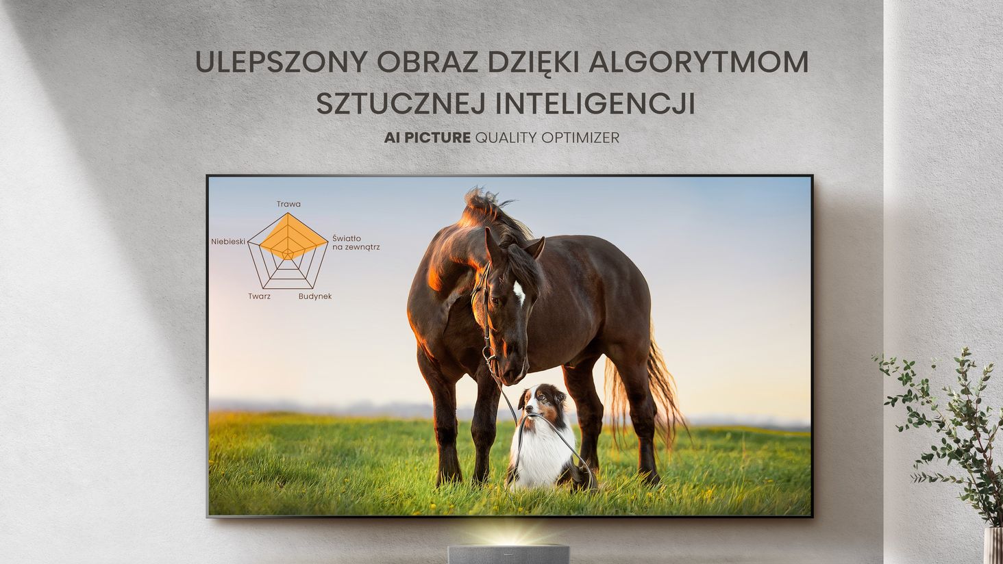 Hisense AI-Picture-Quality-Optimizer