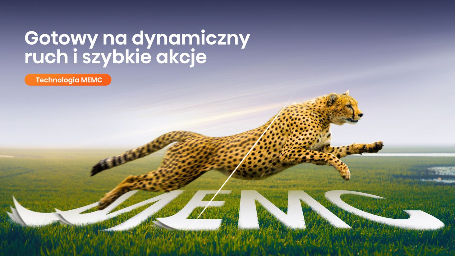Hisense MEMC-Technology