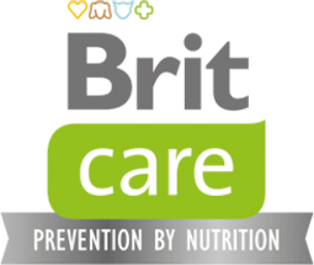 Brit care logo