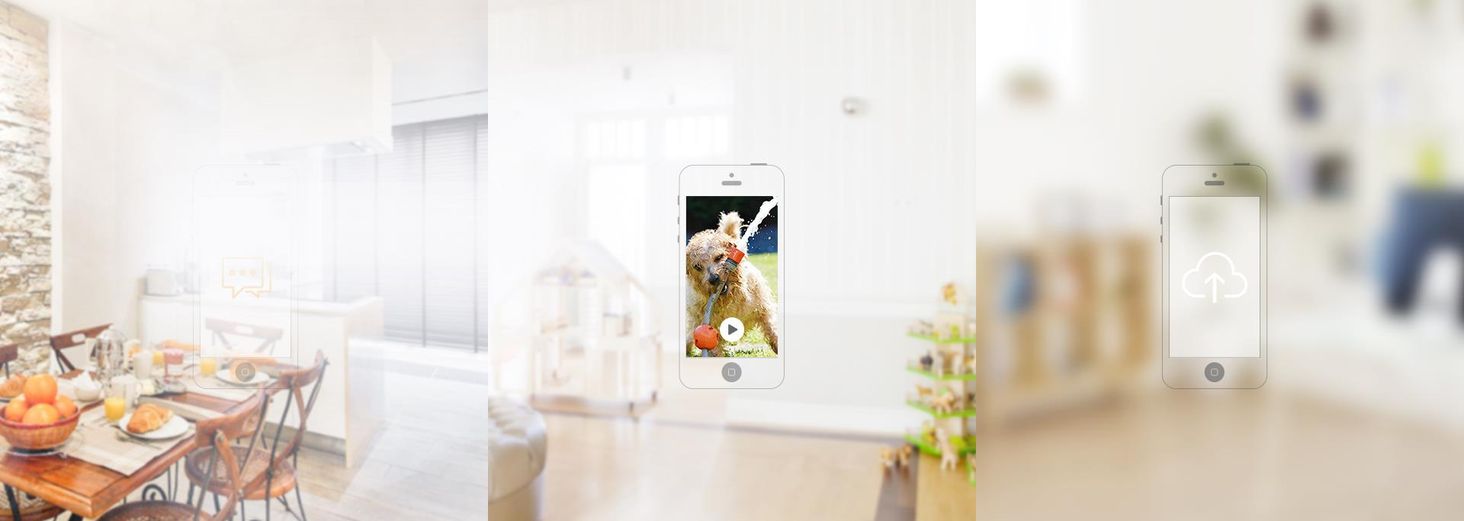 Cell pro