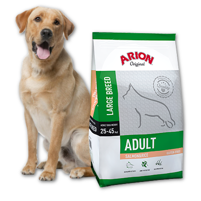 large arion