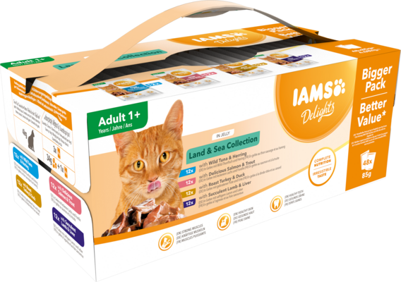IAMS Delights Charakterystyka karmy-2