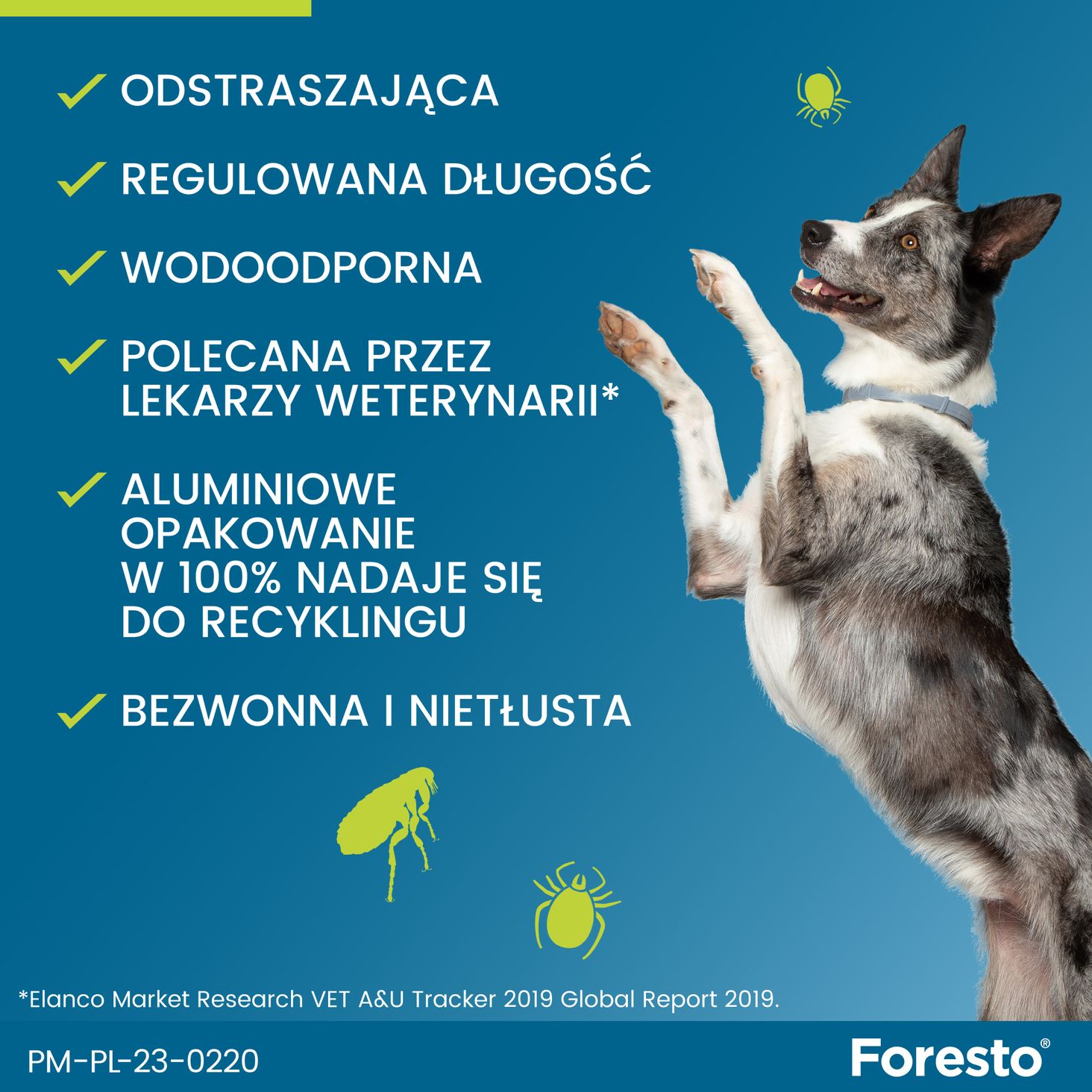 Elanco FORESTO dla dużych psów powyżej 8kg - grafika 3