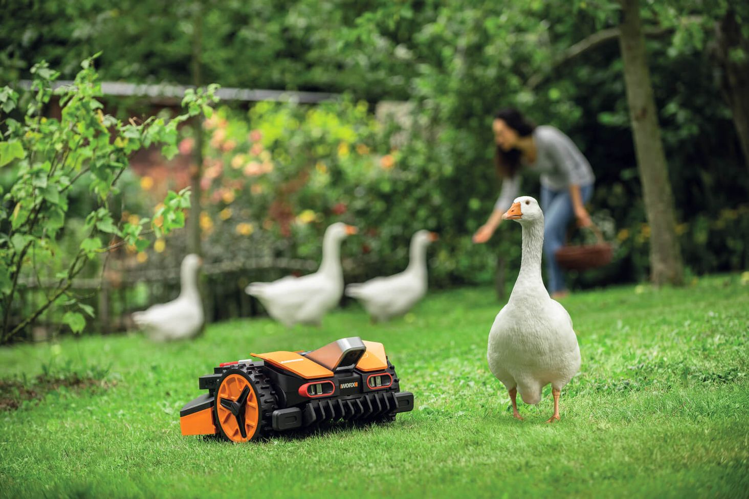 Worx Landroid Vision L1600 WR216E - 4