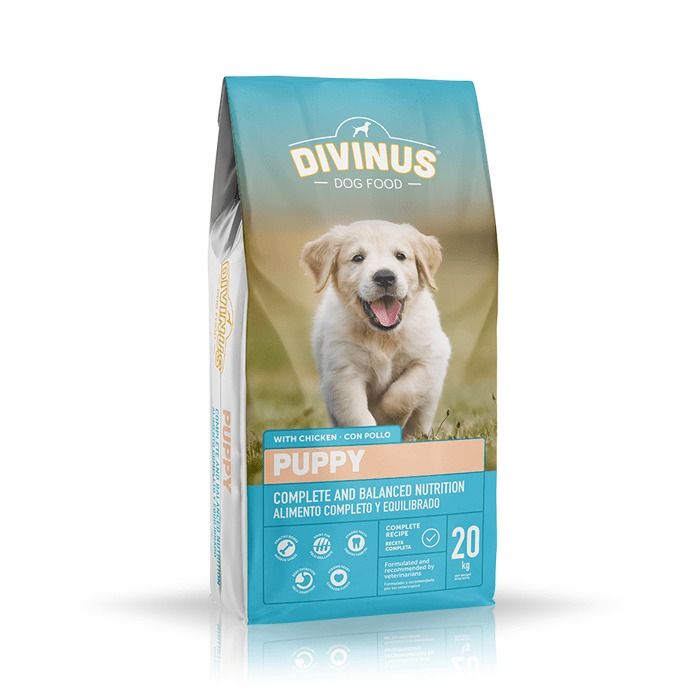 Divinus Puppy