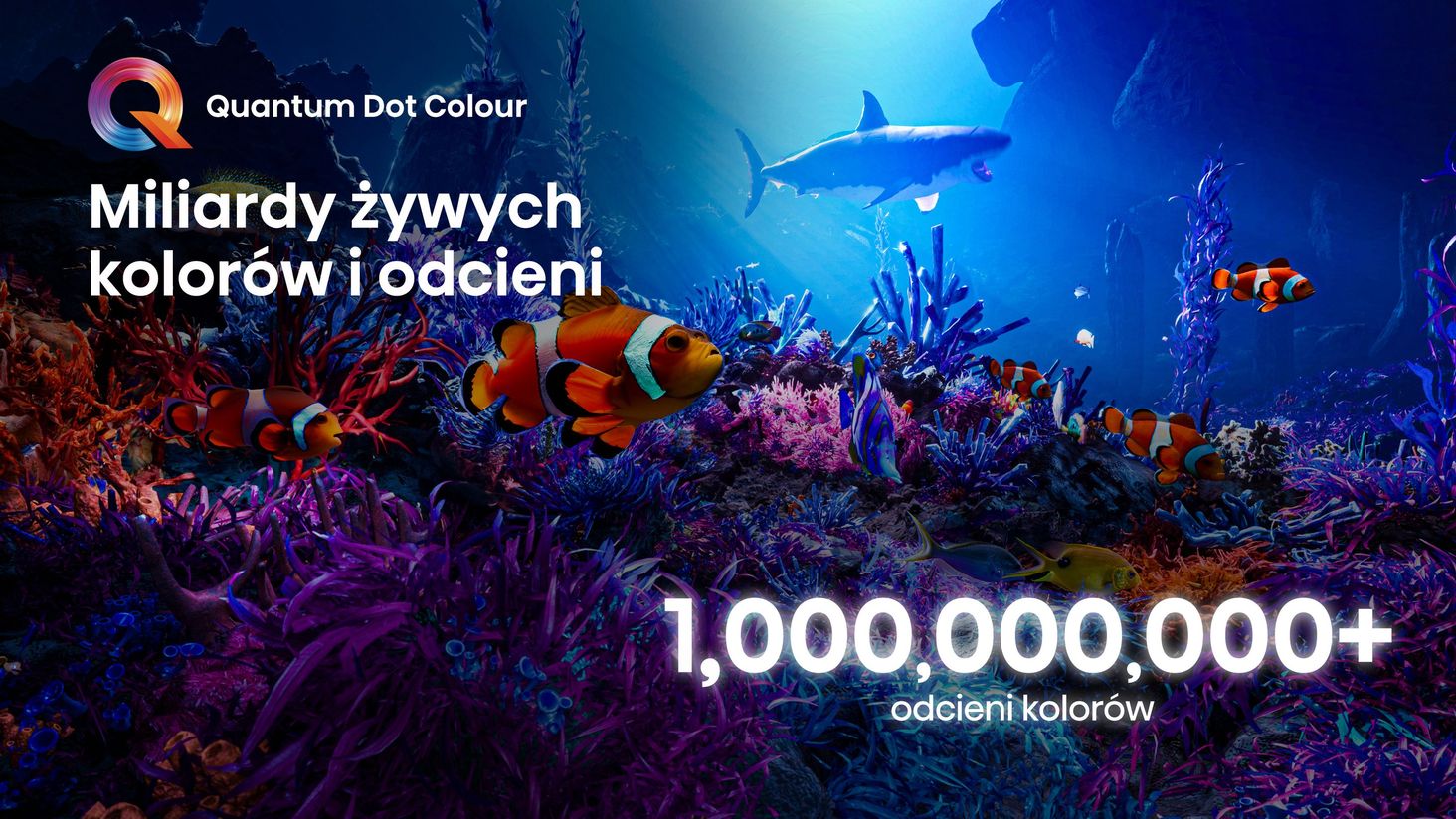 Hisense Quantum-Dot-Colour-