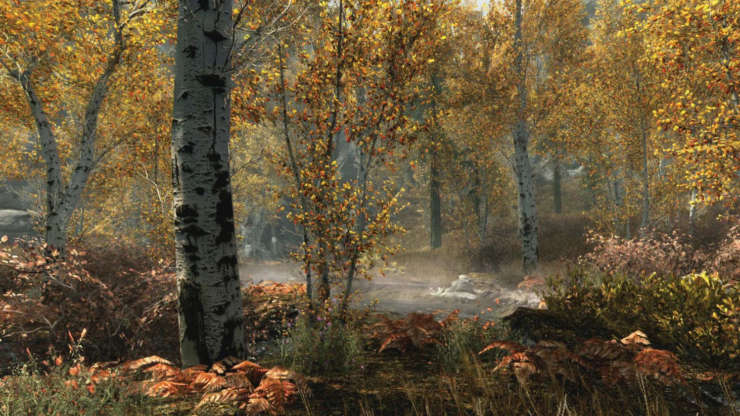 The Elder Scrolls V Skyrim special