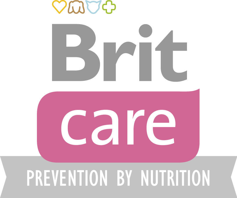 Brit care cat