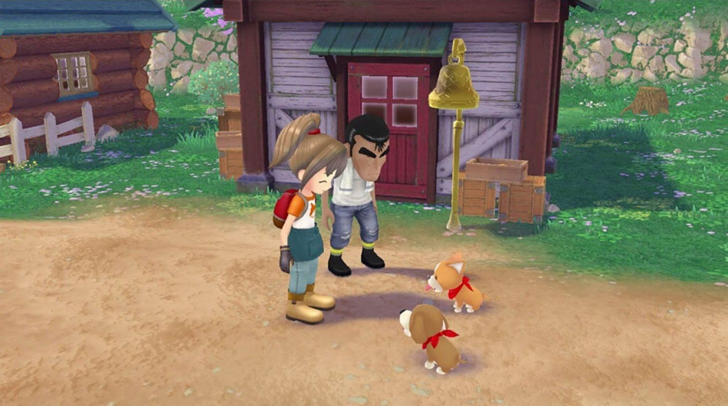 Story of Seasons A Wonderful Life 3