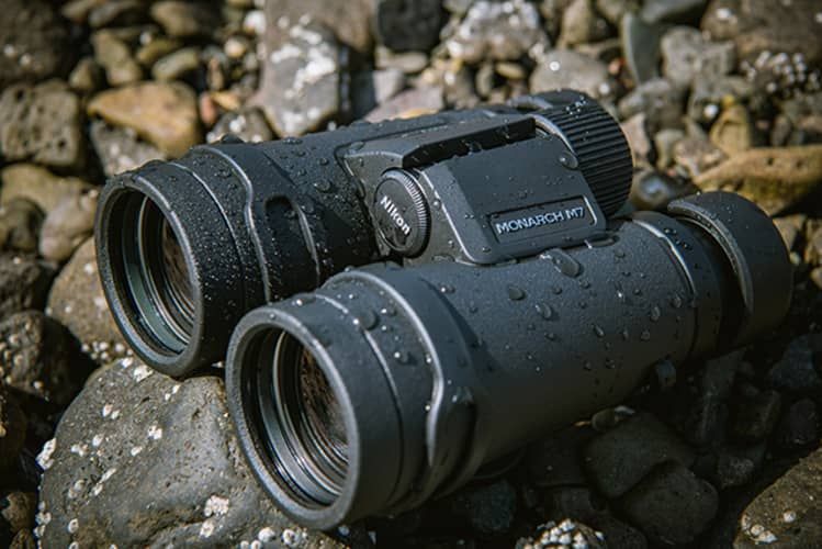 Nikon