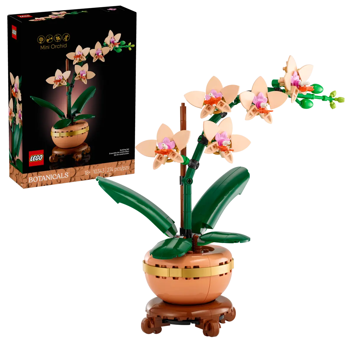 LEGO Botanicals 10343 - 1
