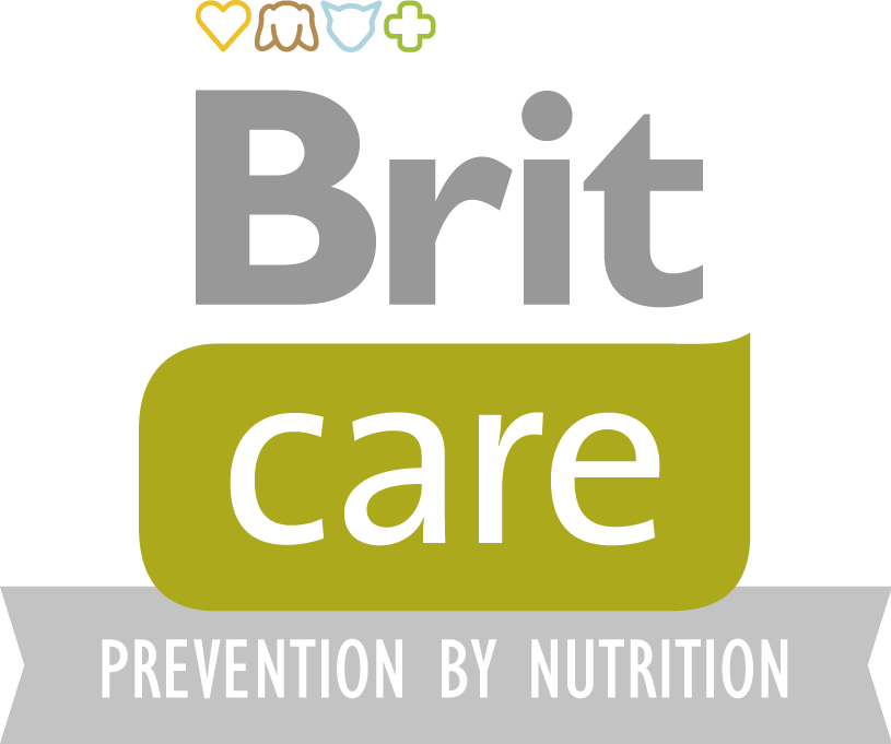 Brit care logo