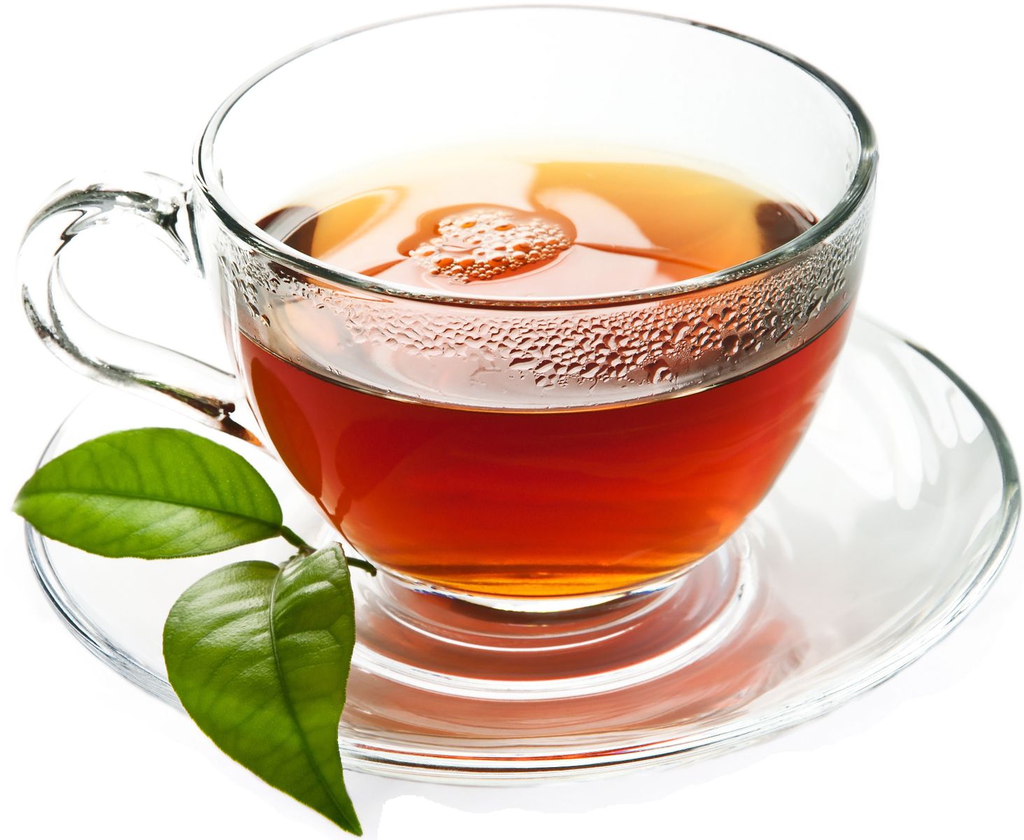 lipton