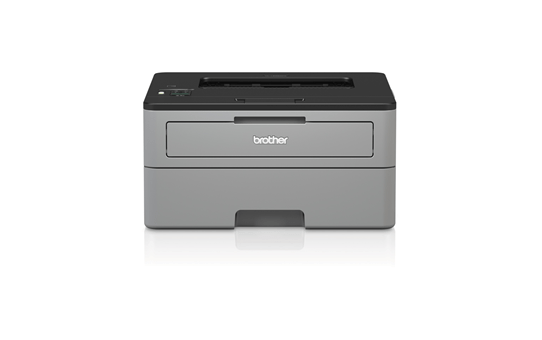 Brother HL-L2352DW