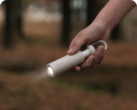 Portable flashlight