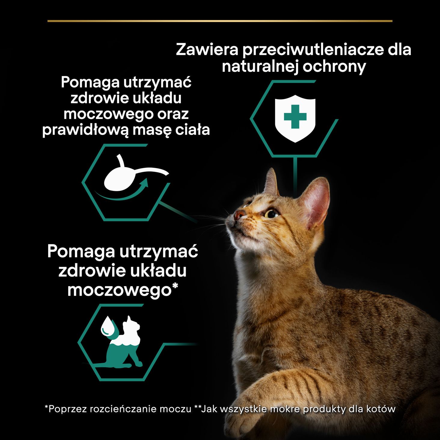 PURINA PRO PLAN sterilised z kurczakiem 85g sklad