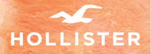 hollister canyon logo