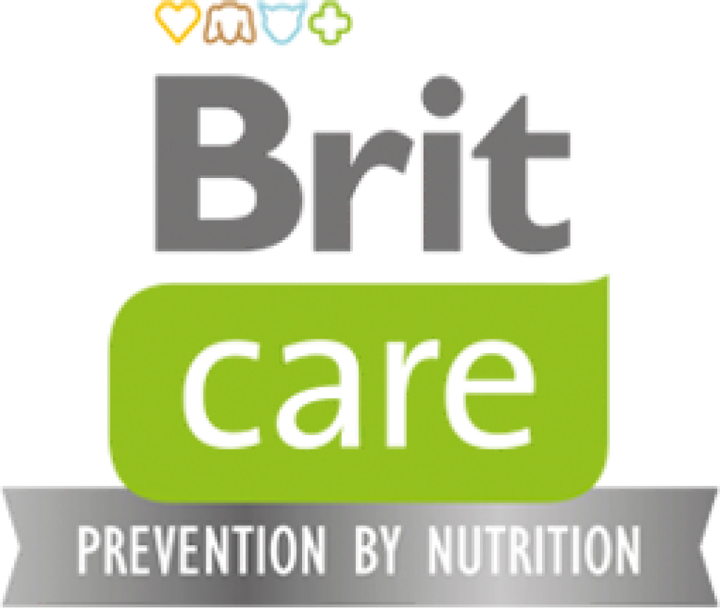 Brit care logo