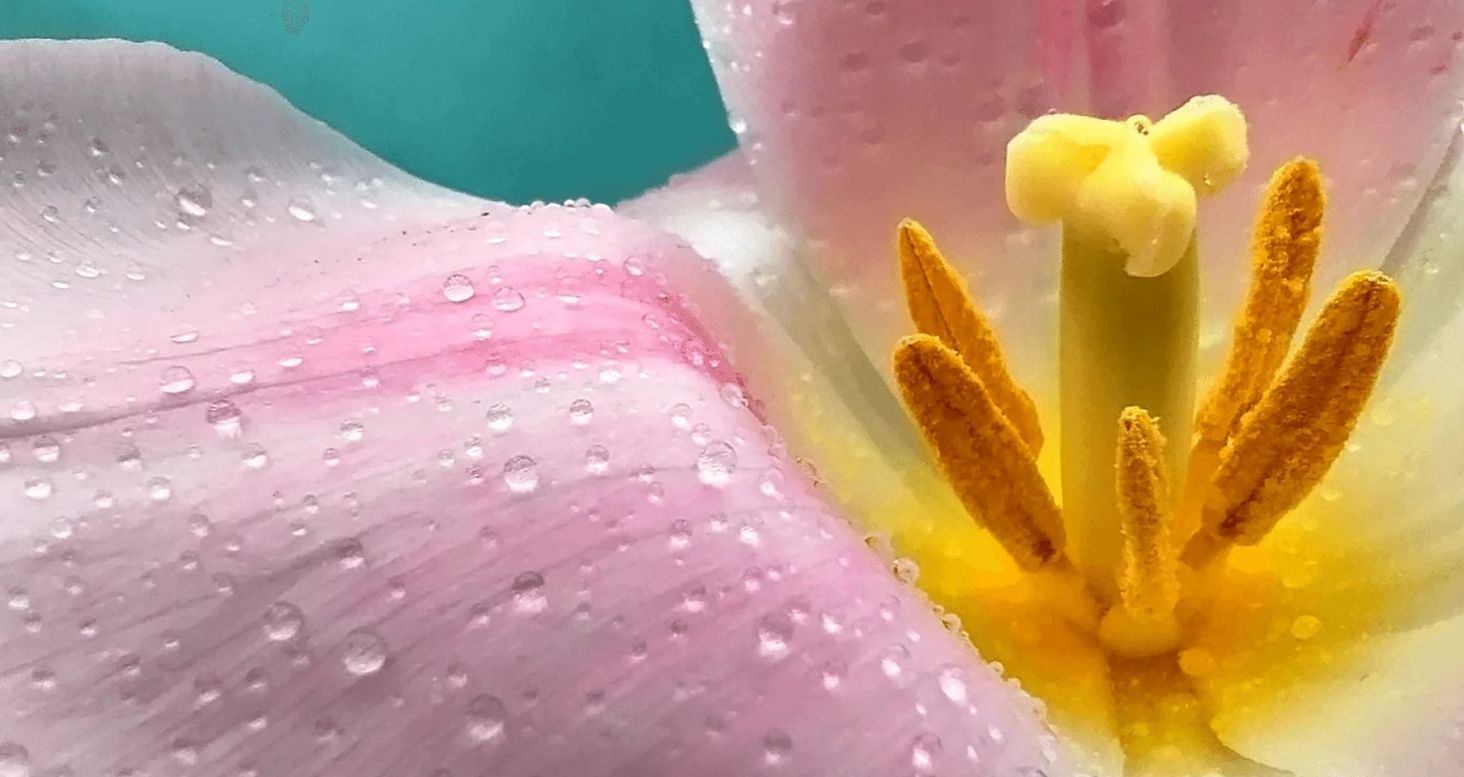 Redmi Note 12 5G