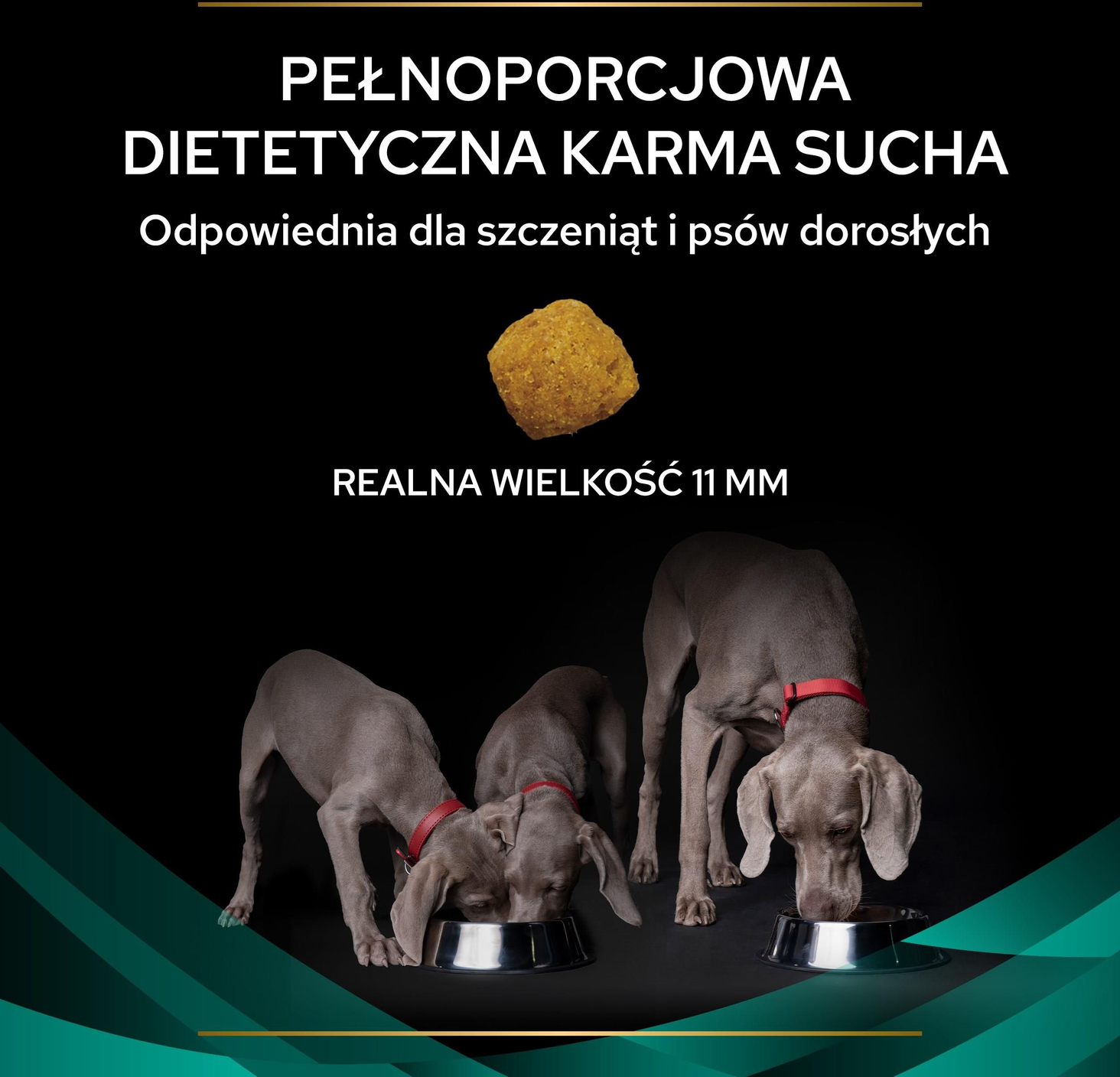 Purina Pro Plan Veterinary Diets CANINE EN karma