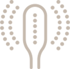 SEYSSO Color Basic - ikona główka szczoteczki