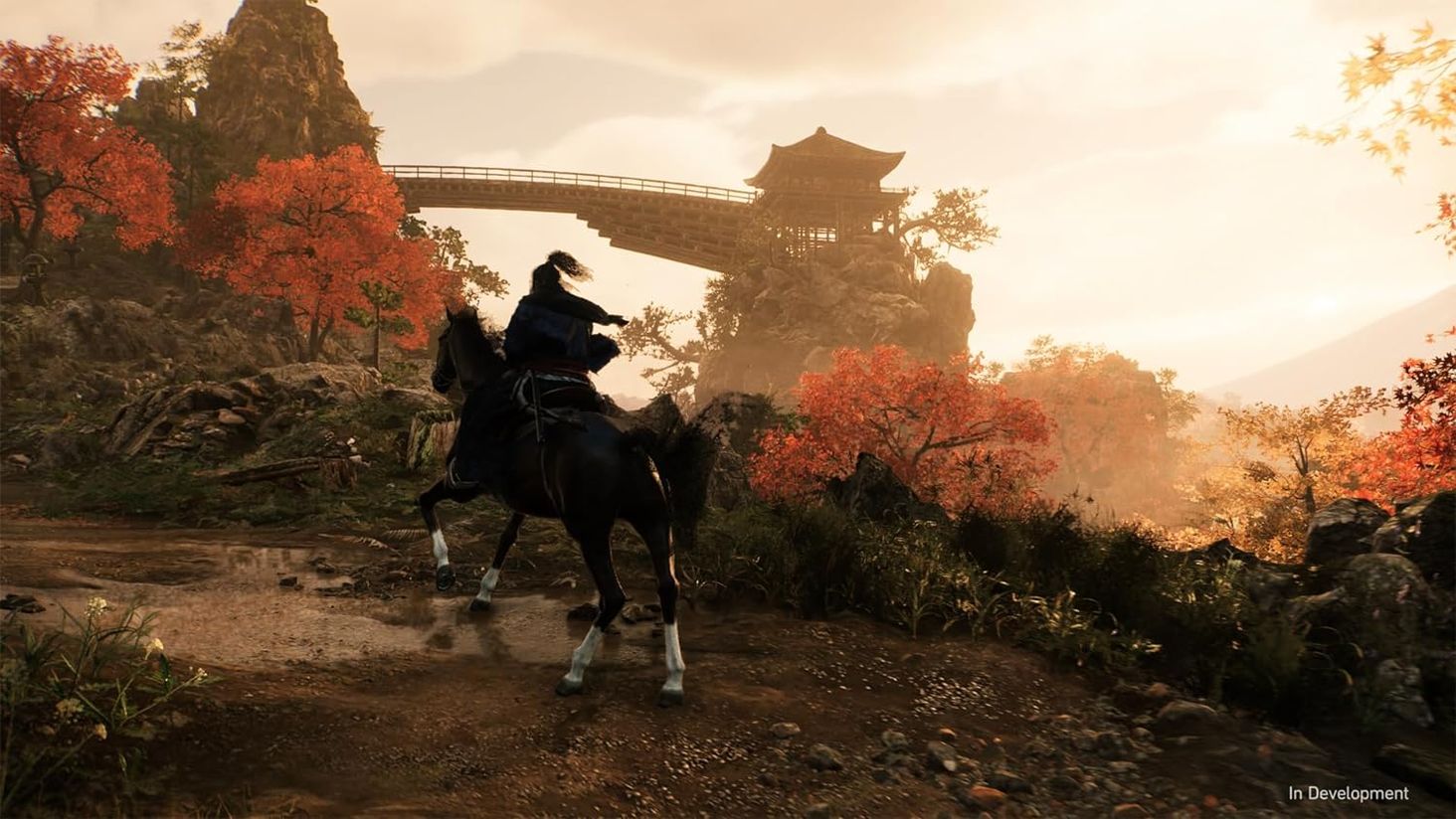 Gra Ronin na PS5