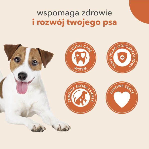 IAMS Charakterystyka karmy