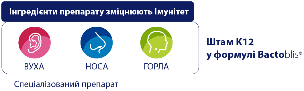 składniki produktu wspierają odporność