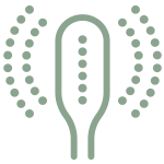 icon1