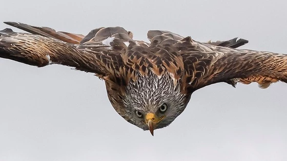 Ogniskowa: 400 mm