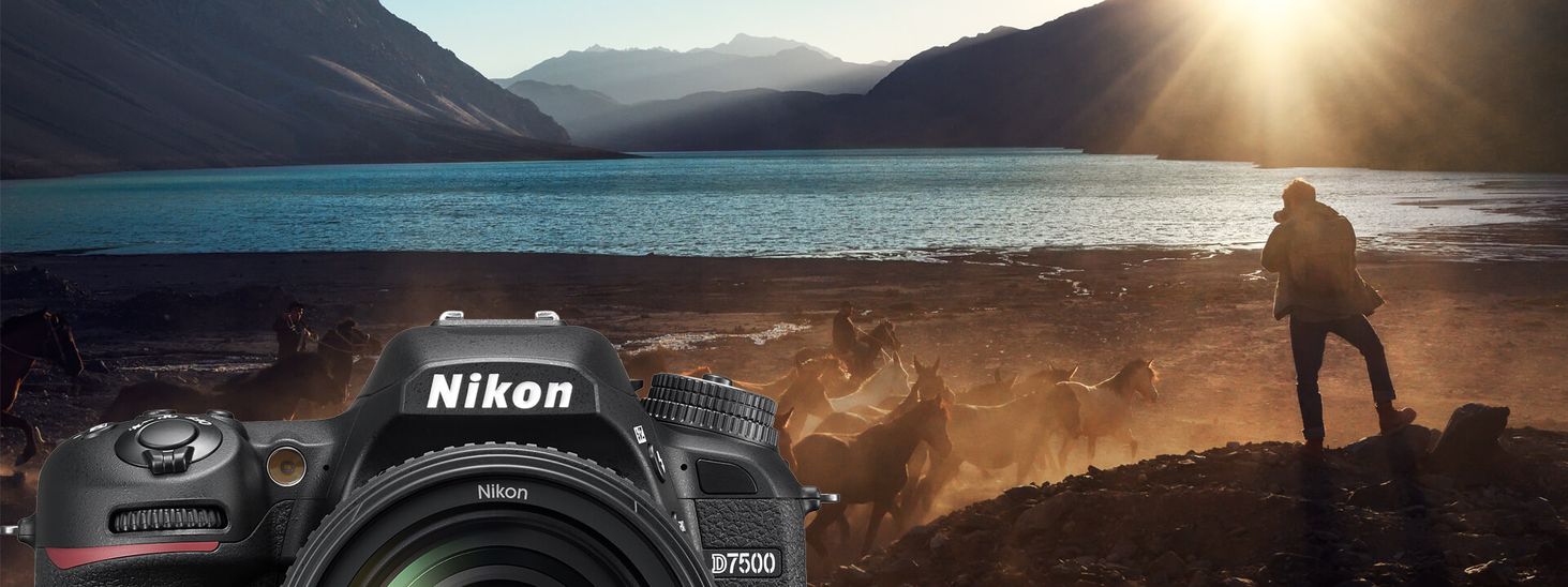 Nikon D7500