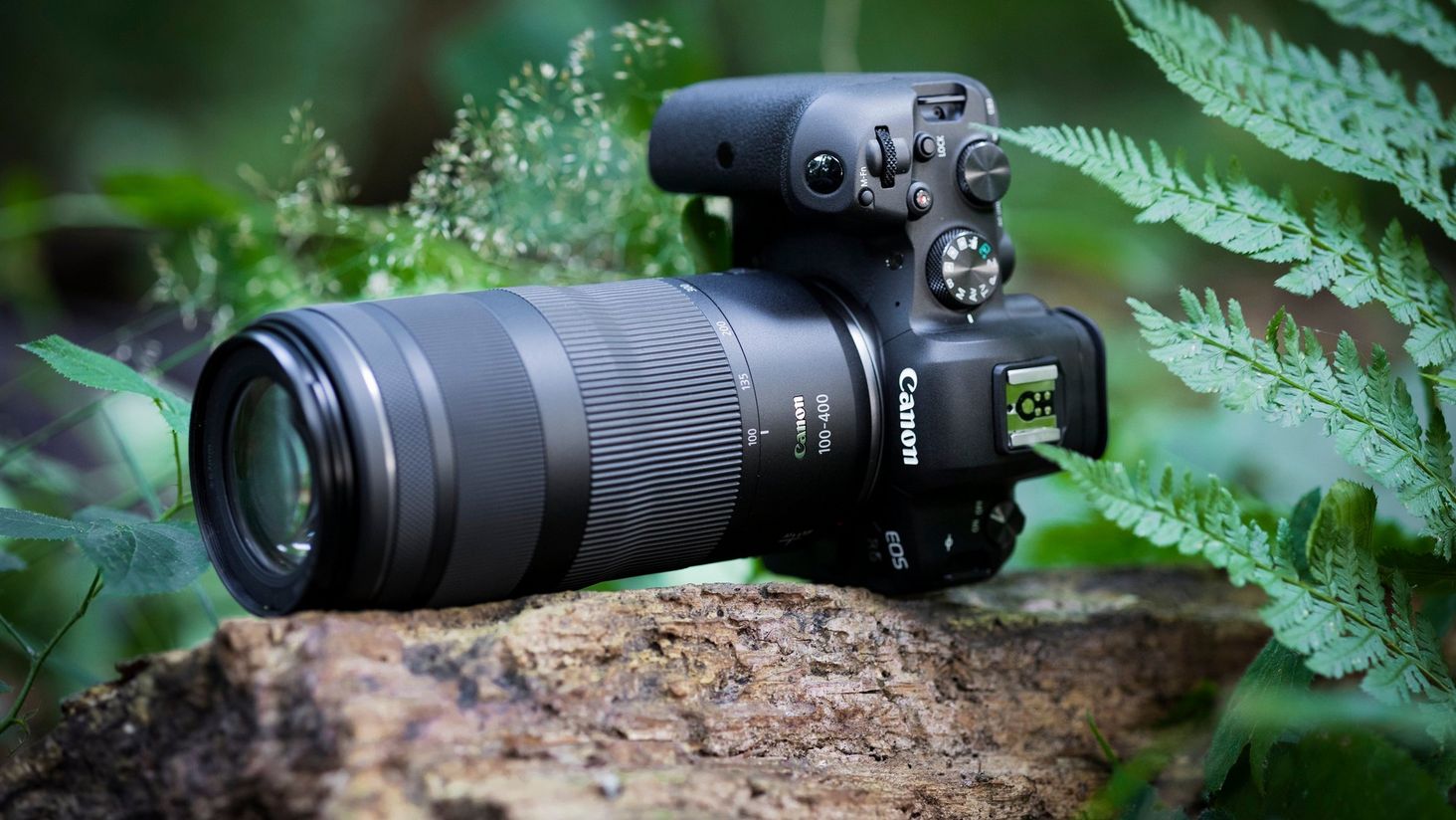 Canon RF 100-400mm F5.6-8 IS USM aparat