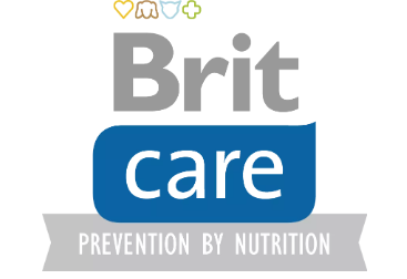 Brit care logo