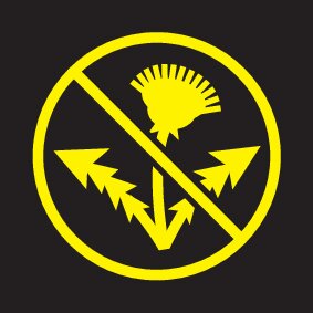 Karcher przeciw chwastom