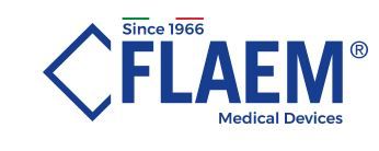 flaem logo