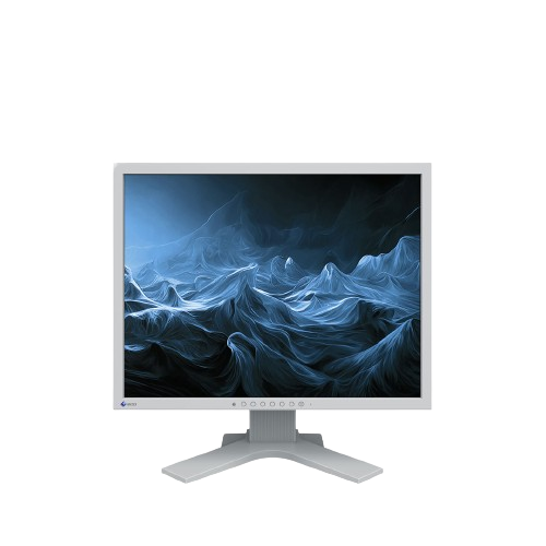 Eizo FlexScan S2134 szary